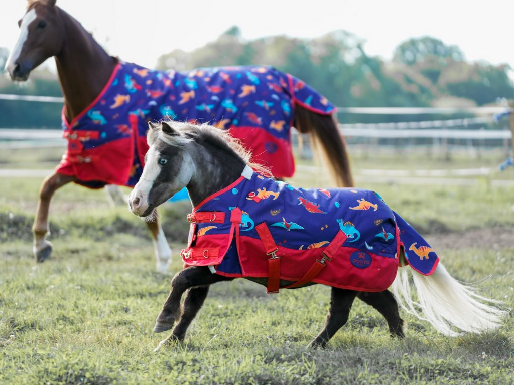 Ponyo Horsewear Dinky Dinos Turnout Blanket - Ponyo Horsewear - Equiluxe Tack