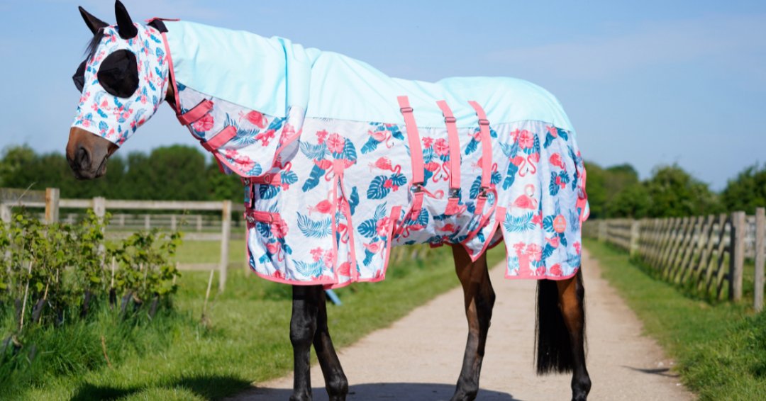 Ponyo Horsewear Flamingo Fly Sheet - 100% UV Protective - Ponyo Horsewear - Equiluxe Tack