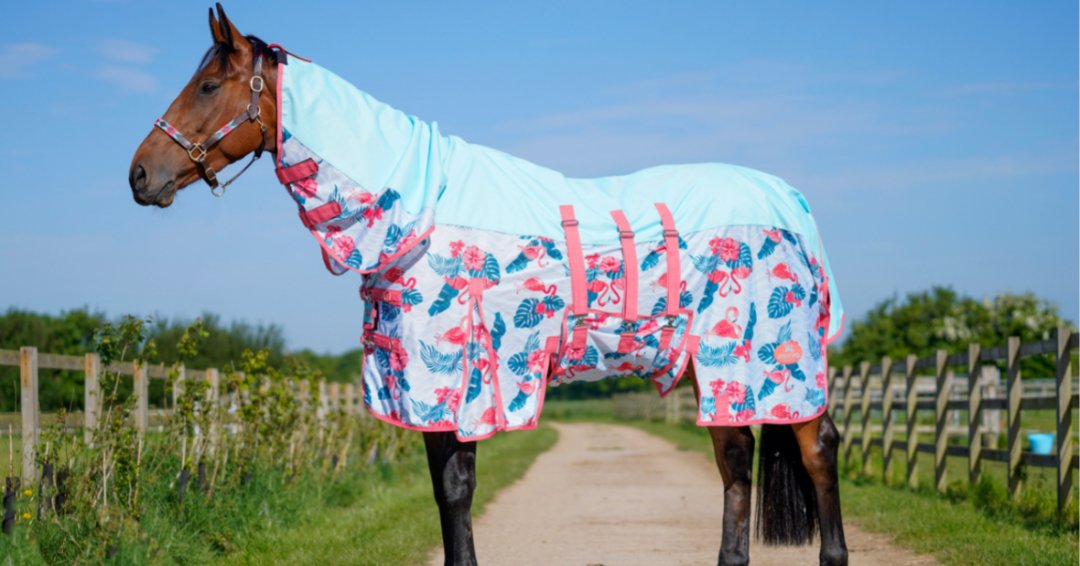 Ponyo Horsewear Flamingo Fly Sheet - 100% UV Protective - Ponyo Horsewear - Equiluxe Tack