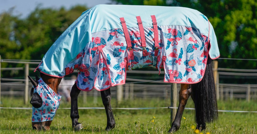 Ponyo Horsewear Flamingo Fly Sheet - 100% UV Protective - Ponyo Horsewear - Equiluxe Tack