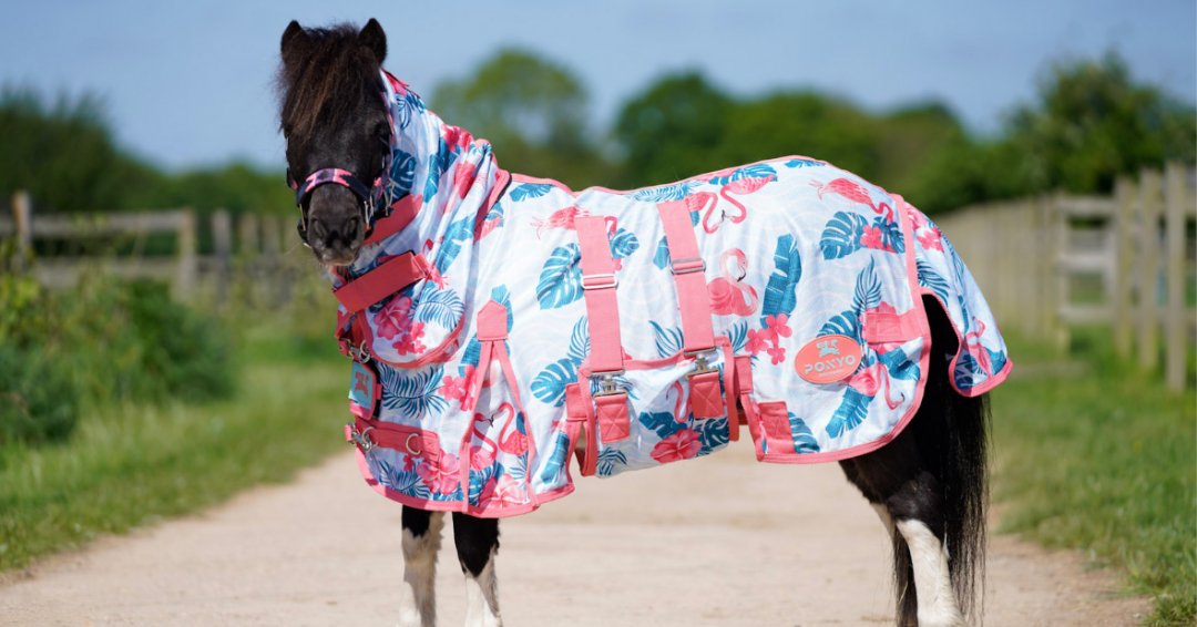 Ponyo Horsewear Flamingo Fly Sheet - 100% UV Protective - Ponyo Horsewear - Equiluxe Tack