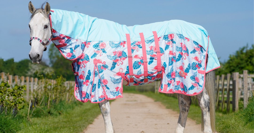 Ponyo Horsewear Flamingo Fly Sheet - 100% UV Protective - Ponyo Horsewear - Equiluxe Tack