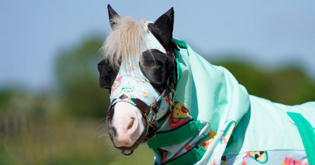 Ponyo Horsewear Happy Avo Fly Mask - Ponyo Horsewear - Equiluxe Tack