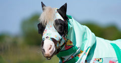 Ponyo Horsewear Happy Avo Fly Mask - Ponyo Horsewear - Equiluxe Tack