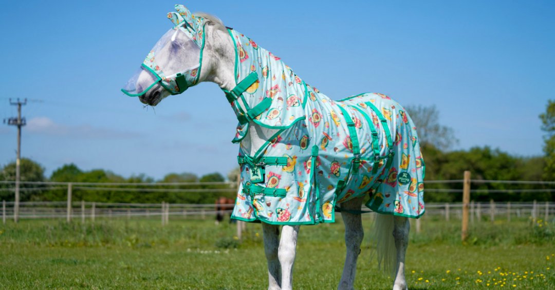 Ponyo Horsewear Happy Avo Fly Sheet - 100% UV Protective - Ponyo Horsewear - Equiluxe Tack