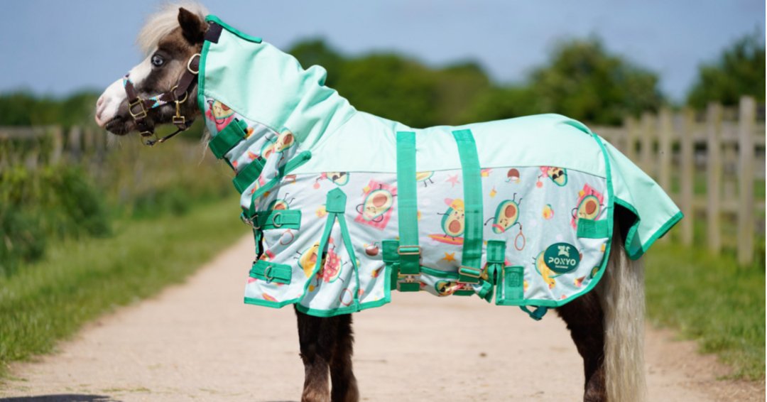 Ponyo Horsewear Happy Avo Fly Sheet - 100% UV Protective - Ponyo Horsewear - Equiluxe Tack