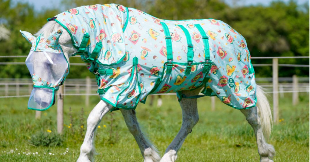 Ponyo Horsewear Happy Avo Fly Sheet - 100% UV Protective - Ponyo Horsewear - Equiluxe Tack