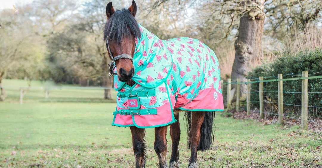 Ponyo Horsewear Juicy Watermelon 1200D 0g Turnout Sheet - Ponyo Horsewear - Equiluxe Tack