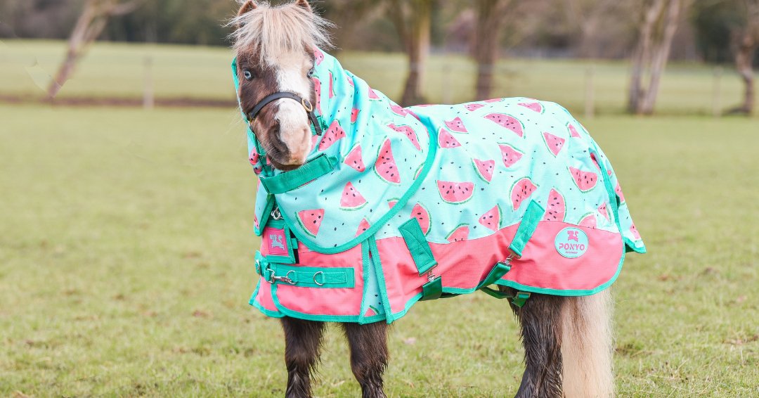 Ponyo Horsewear Juicy Watermelon 1200D 0g Turnout Sheet - Ponyo Horsewear - Equiluxe Tack