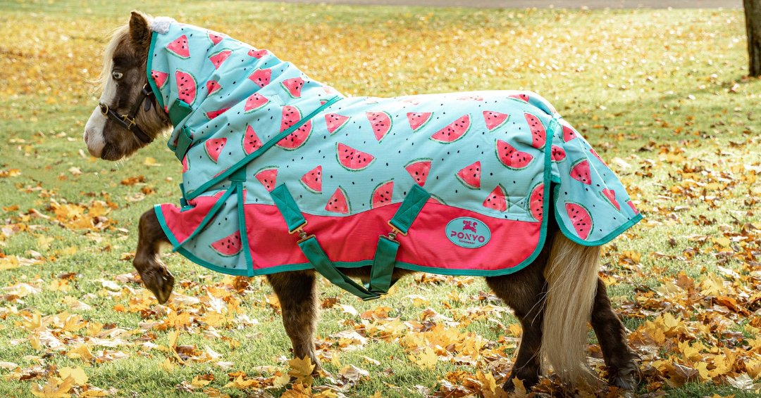 Ponyo Horsewear Juicy Watermelon 1200D 0g Turnout Sheet - Ponyo Horsewear - Equiluxe Tack