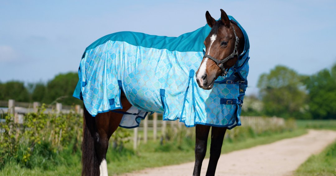 Ponyo Horsewear Oh My Mermaid Fly Sheet - Ponyo Horsewear - Equiluxe Tack