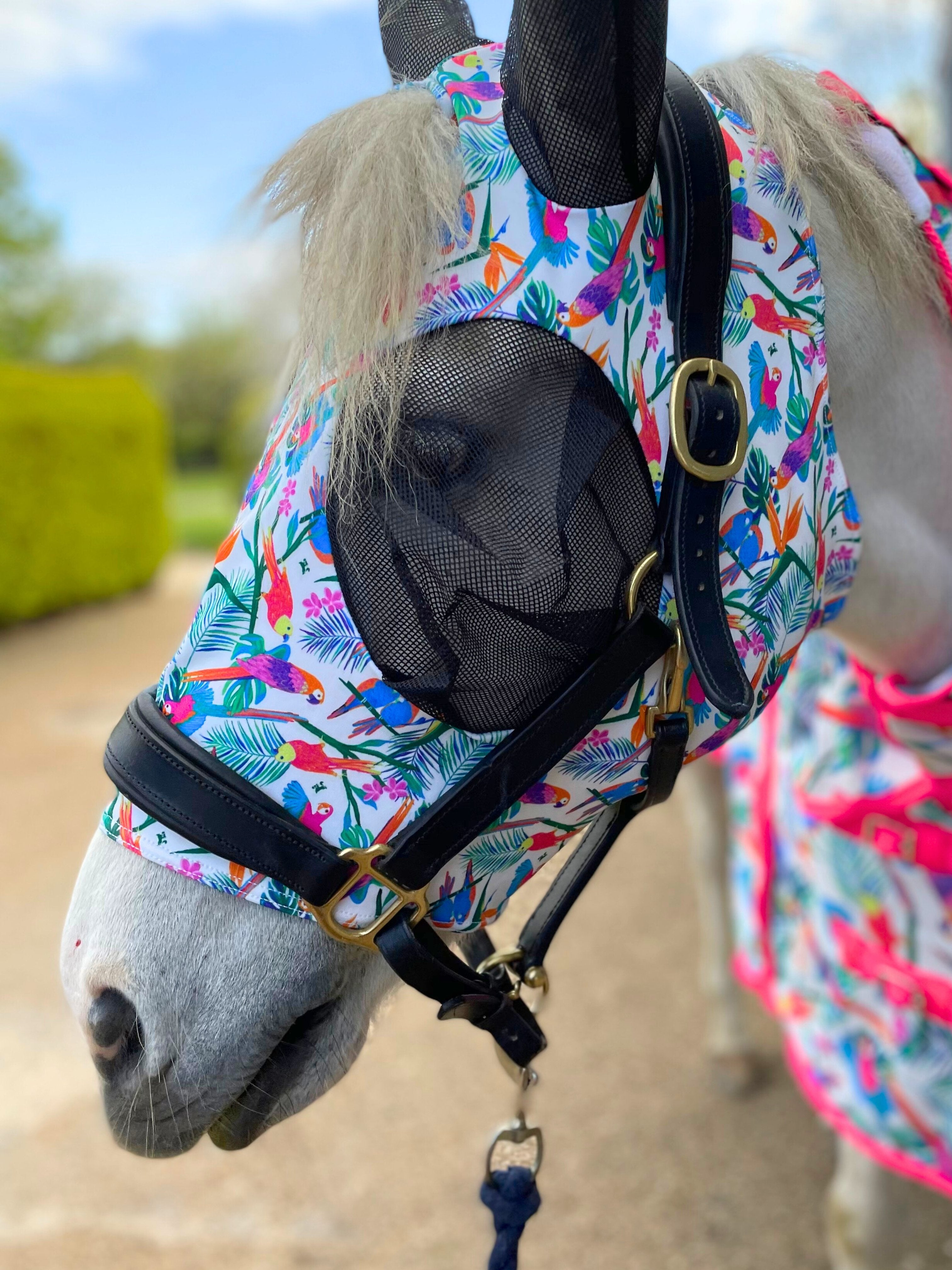 Ponyo Horsewear Pretty Polly Fly Mask - Ponyo Horsewear - Equiluxe Tack