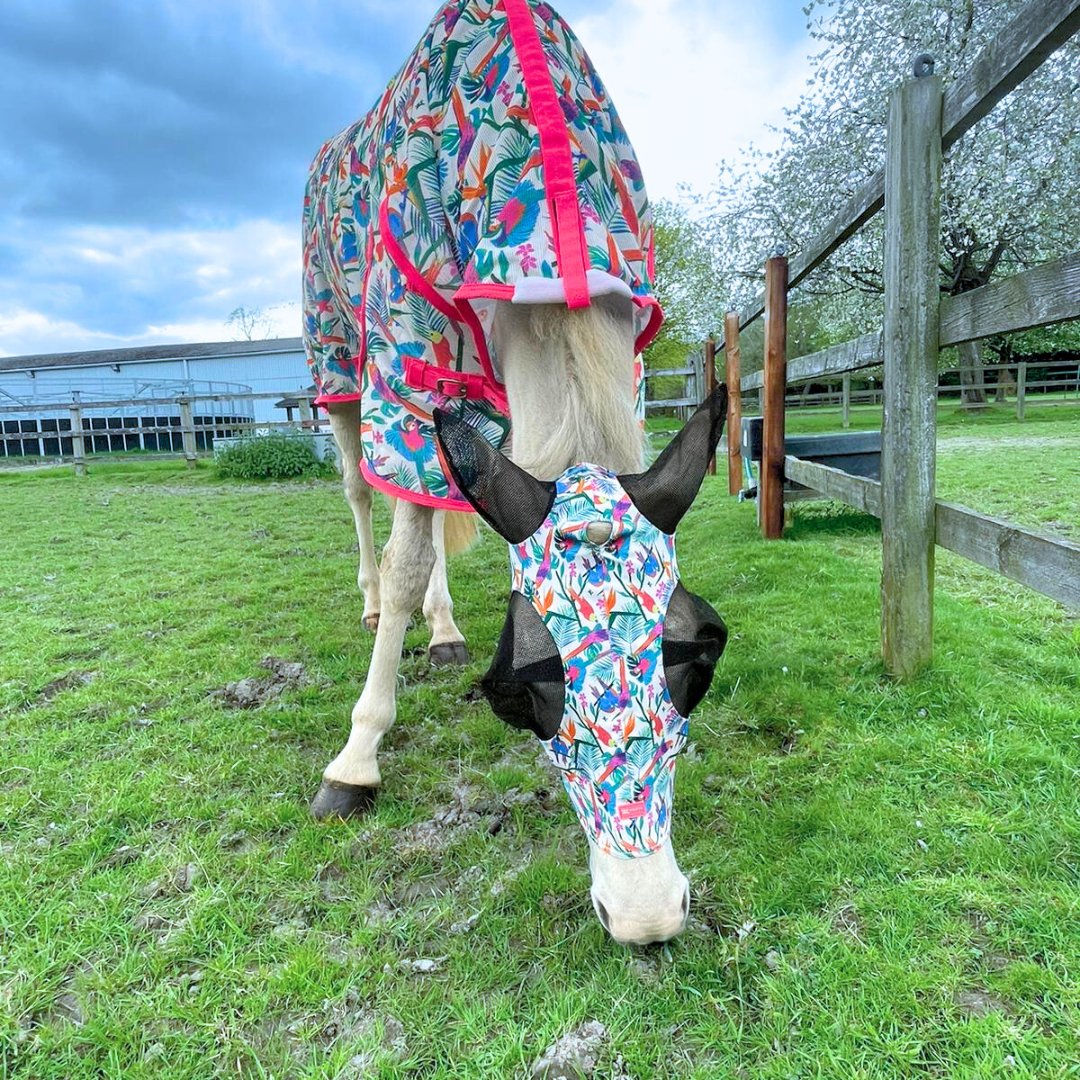 Ponyo Horsewear Pretty Polly Fly Mask - Ponyo Horsewear - Equiluxe Tack