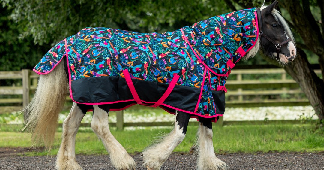 Ponyo Horsewear Pretty Polly Stable Blanket - Ponyo Horsewear - Equiluxe Tack