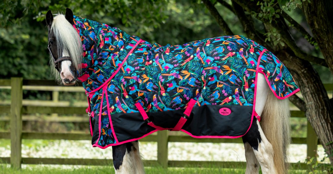 Ponyo Horsewear Pretty Polly Stable Blanket - Ponyo Horsewear - Equiluxe Tack