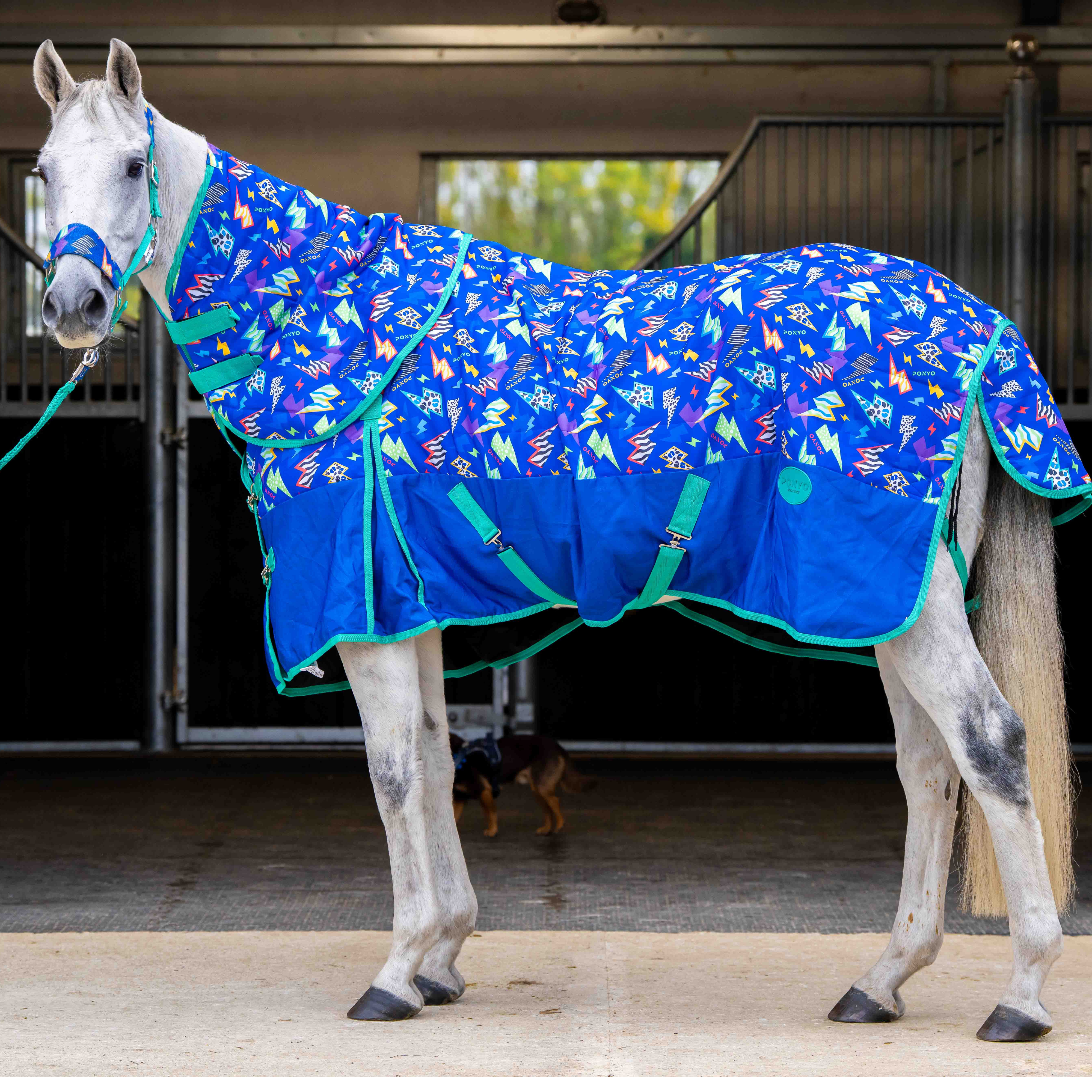 Ponyo Horsewear Thunderstruck Stable Rug - Ponyo Horsewear - Equiluxe Tack