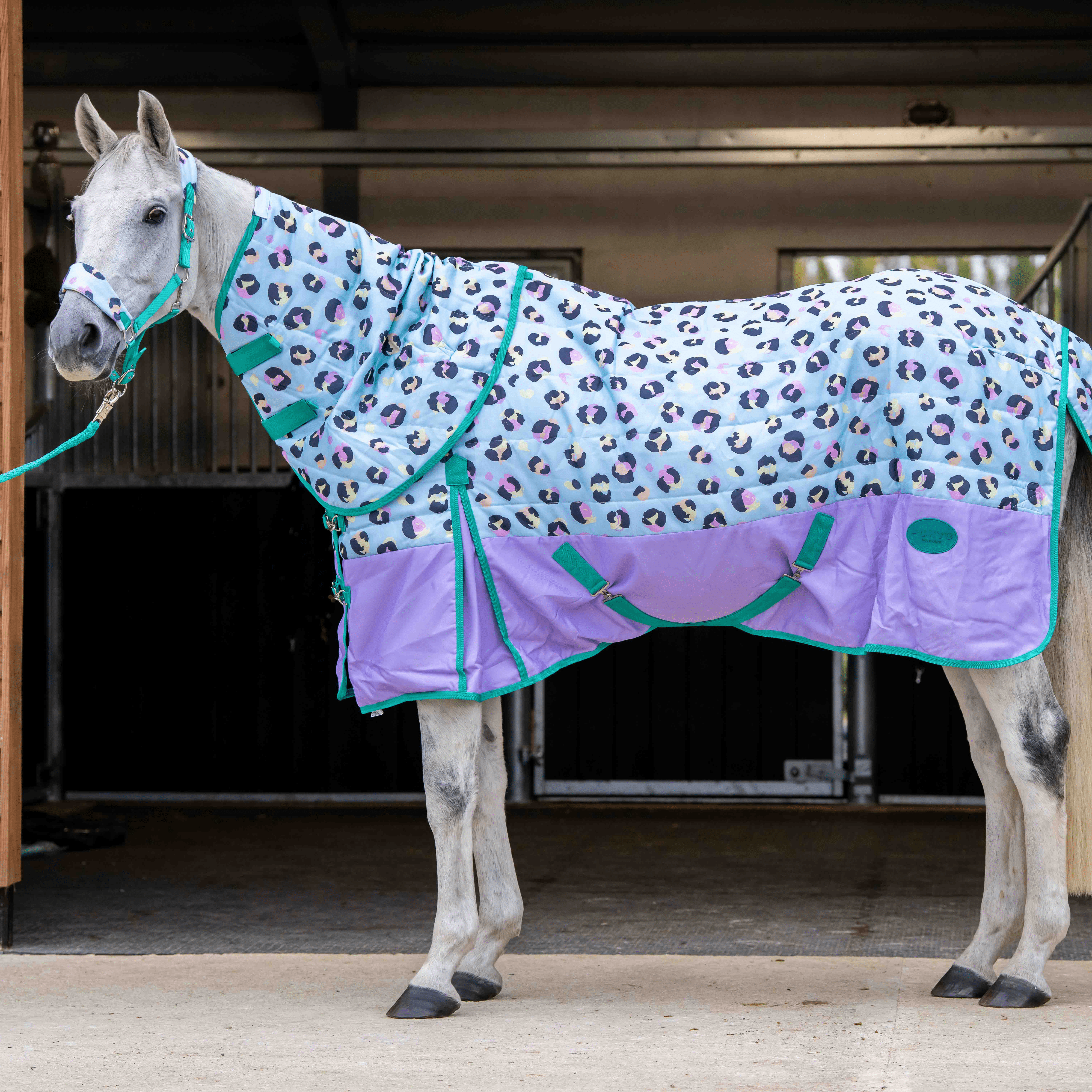 Ponyo Horsewear Wild One Stable Rug - Ponyo Horsewear - Equiluxe Tack