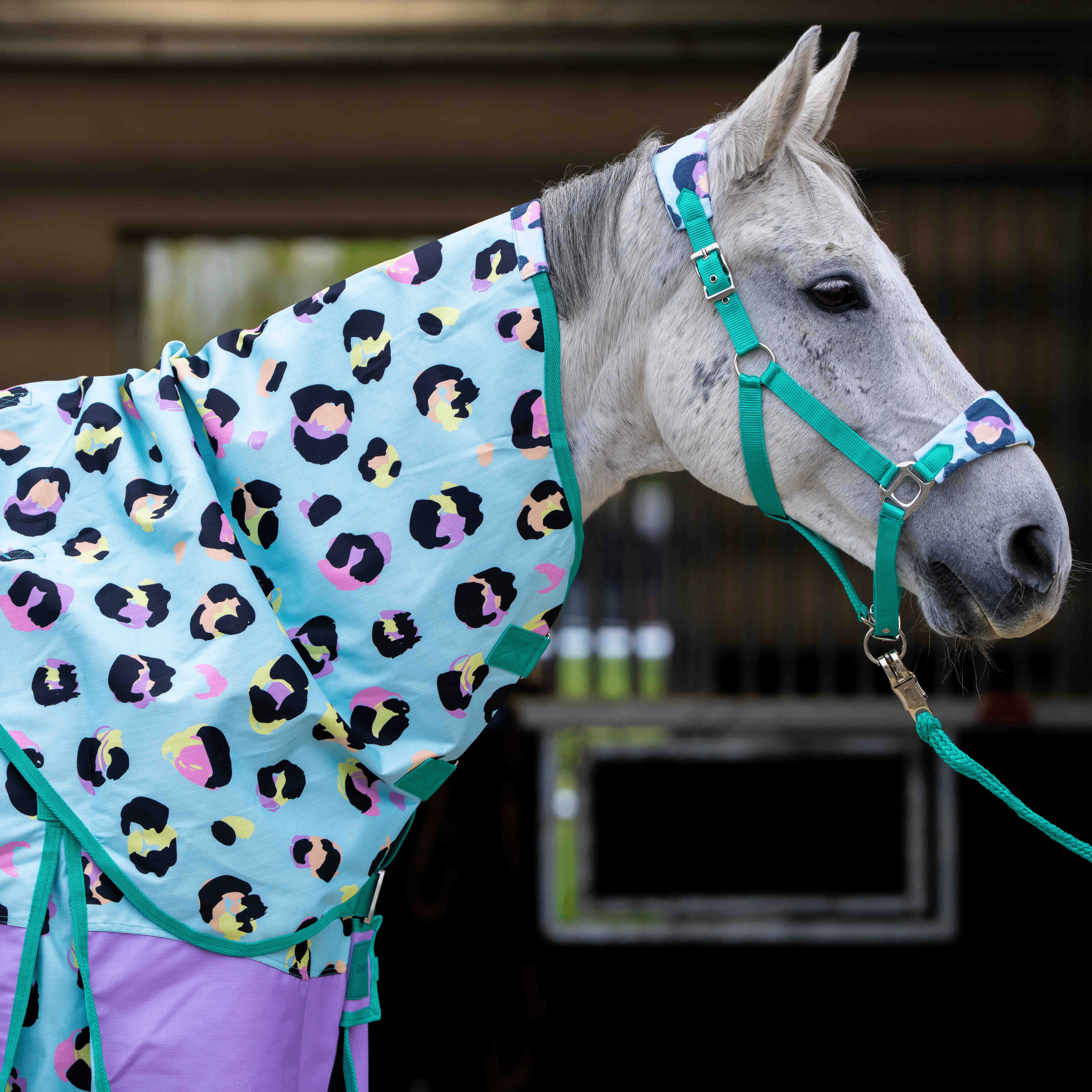 Ponyo Horsewear Wild One Turnout Rug - Ponyo Horsewear - Equiluxe Tack