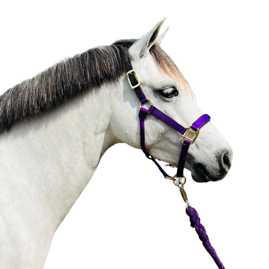 Premium Nylon Breakaway Halter with Padded Crown/Nose - Equiluxe Tack - Equiluxe Tack