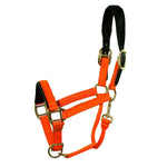 Premium Nylon Breakaway Halter with Padded Crown/Nose - Equiluxe Tack - Equiluxe Tack