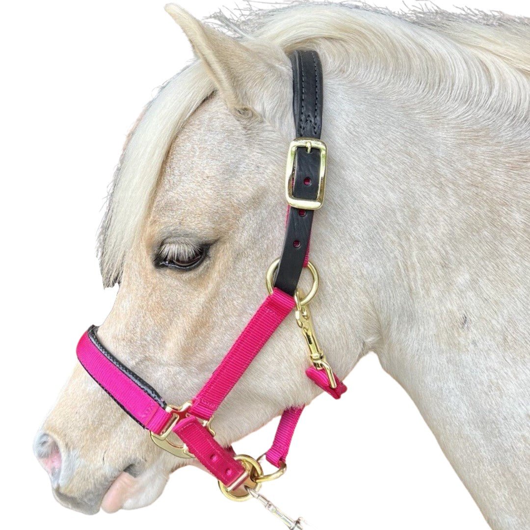 Premium Nylon Breakaway Halter with Padded Crown/Nose - Equiluxe Tack - Equiluxe Tack