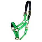 Premium Nylon Breakaway Halter with Padded Crown/Nose - Equiluxe Tack - Equiluxe Tack