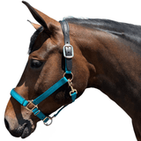 Premium Nylon Breakaway Halter with Padded Crown/Nose - Equiluxe Tack - Equiluxe Tack