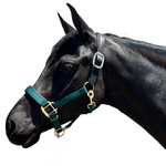 Premium Nylon Breakaway Halter with Padded Crown/Nose - Equiluxe Tack - Equiluxe Tack