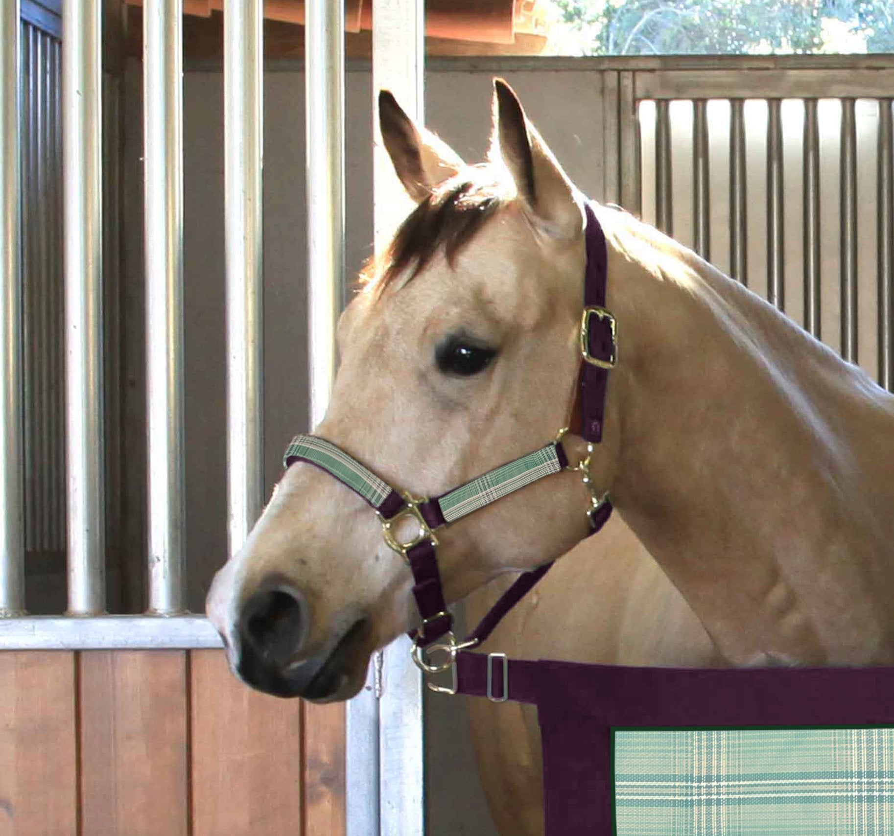 Premium Nylon Halter - Kensington Protective Products - Equiluxe Tack