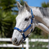 Premium Nylon Halter - Kensington Protective Products - Equiluxe Tack