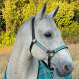 Premium Nylon Halter - Kensington Protective Products - Equiluxe Tack