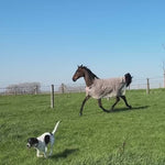 Kentucky Horsewear Light Mesh Fly Sheet