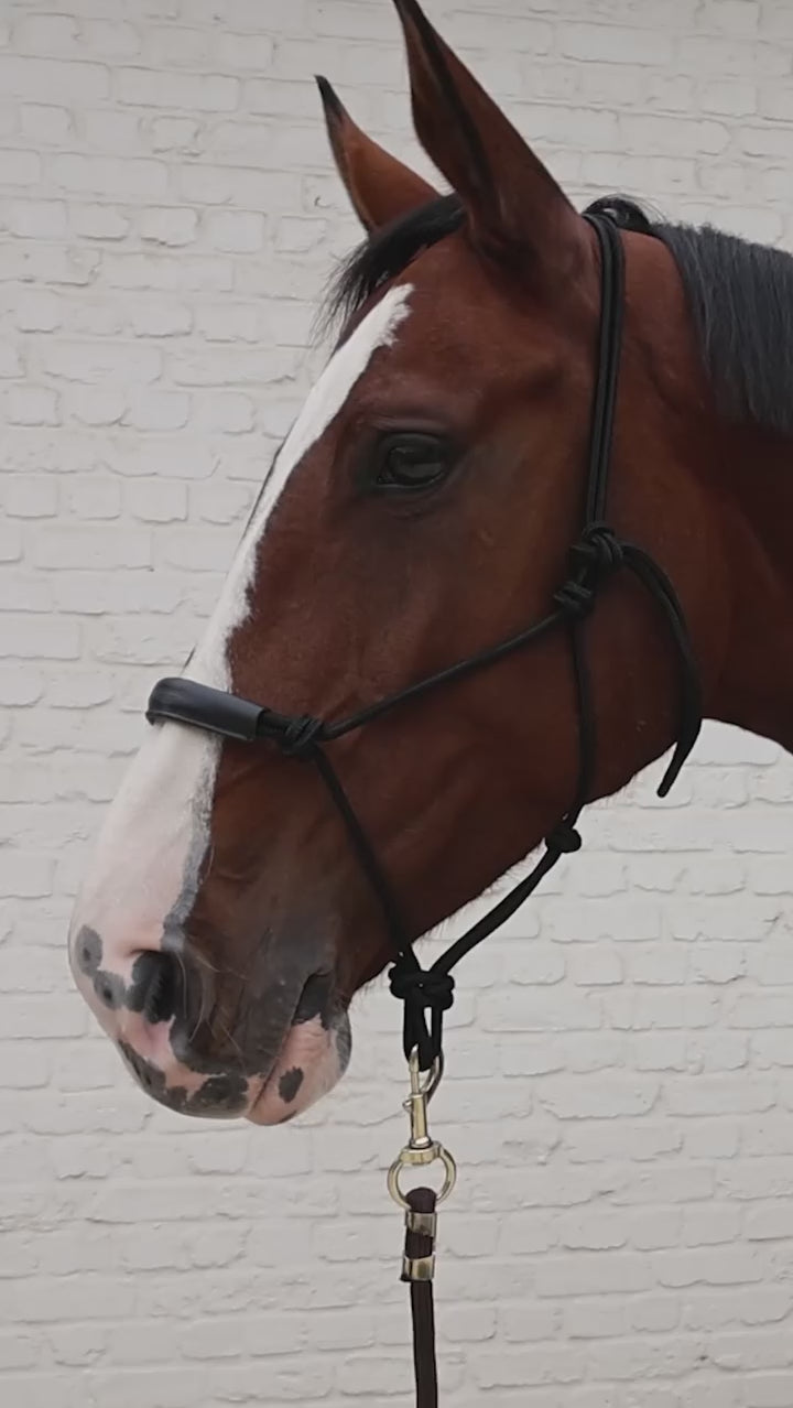 Kentucky Horsewear Classic Rope Halter