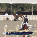 Kentucky Horsewear Panic Hook