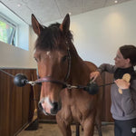 Kentucky Horsewear Lead & Wall Protection Rubber Ball