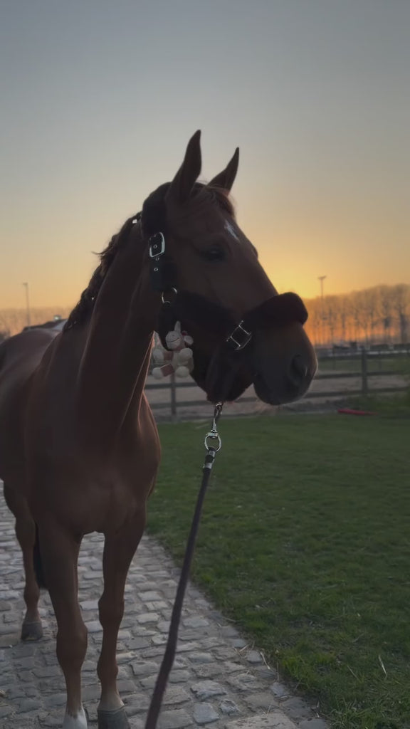 Kentucky Horsewear Sheepskin Shipping Halter