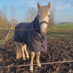 Kentucky Horsewear All Weather Waterproof Pro Turnout Rug 0g