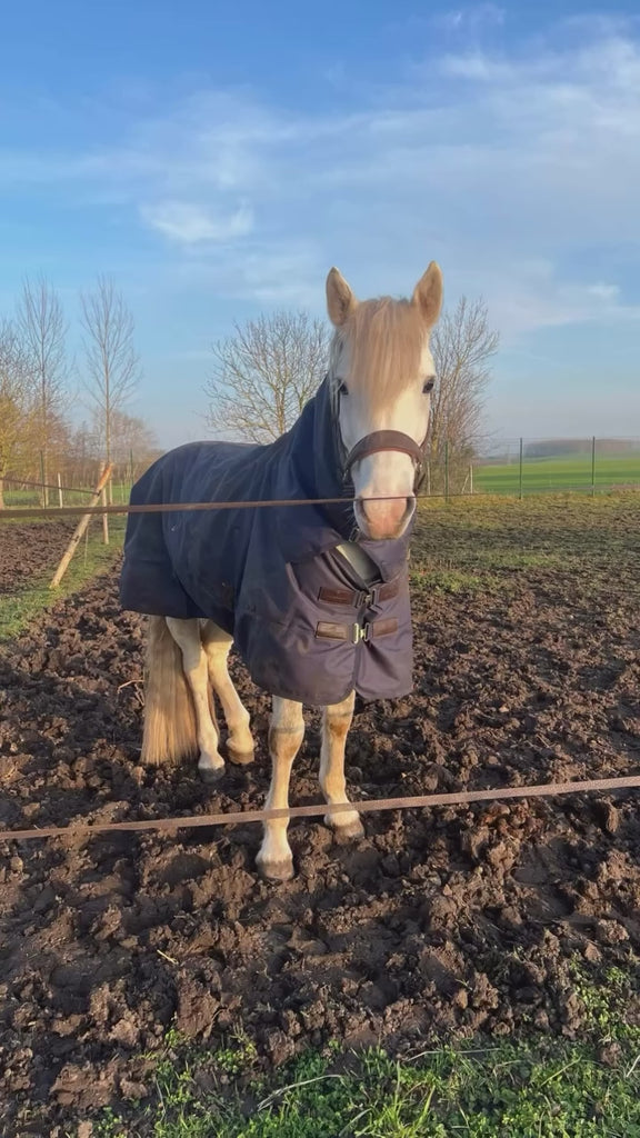 Kentucky Horsewear All Weather Waterproof Pro Turnout Rug 0g