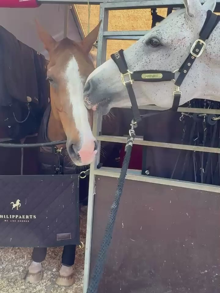 Kentucky Horsewear Prize Giving Cooler Fleece Rug
