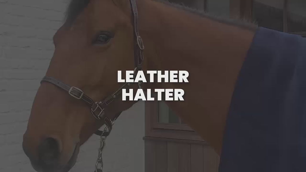 Kentucky Horsewear Leather Halter with Sheepskin