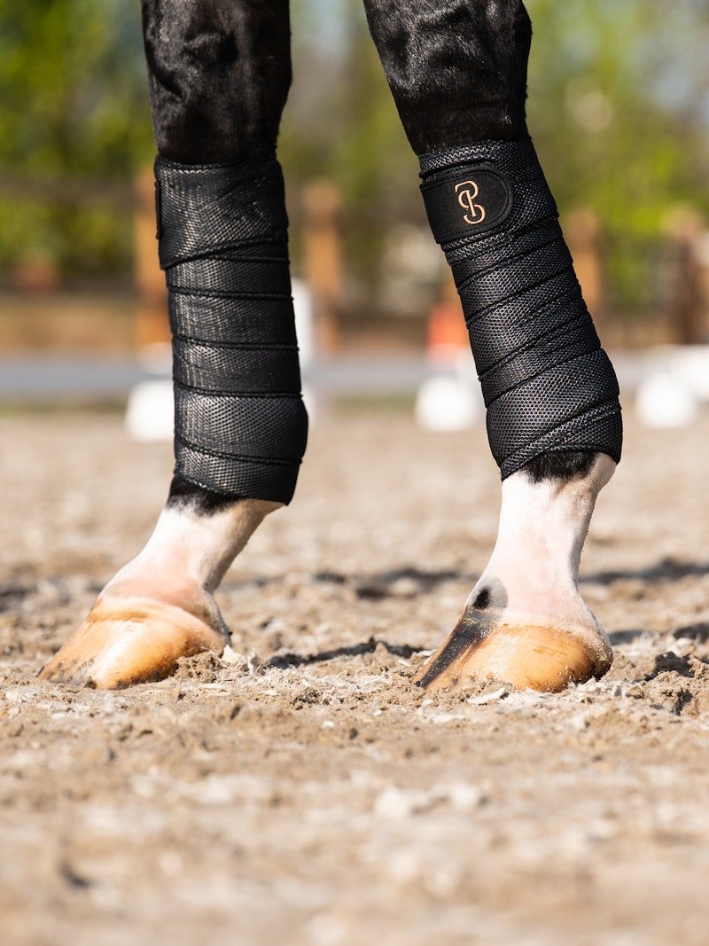 PS of Sweden Airflow Mesh Polos 2 - Pack - Black - PS of Sweden - Equiluxe Tack