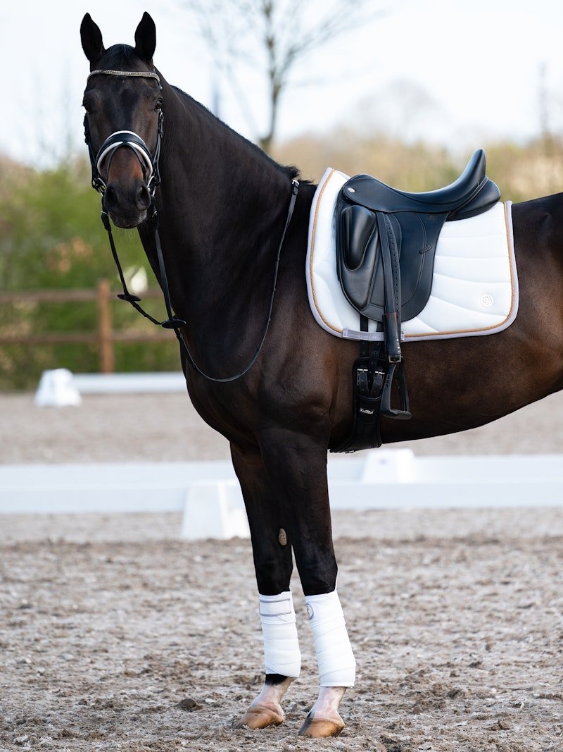 PS of Sweden Airflow Mesh Polos 2 - Pack - White - PS of Sweden - Equiluxe Tack