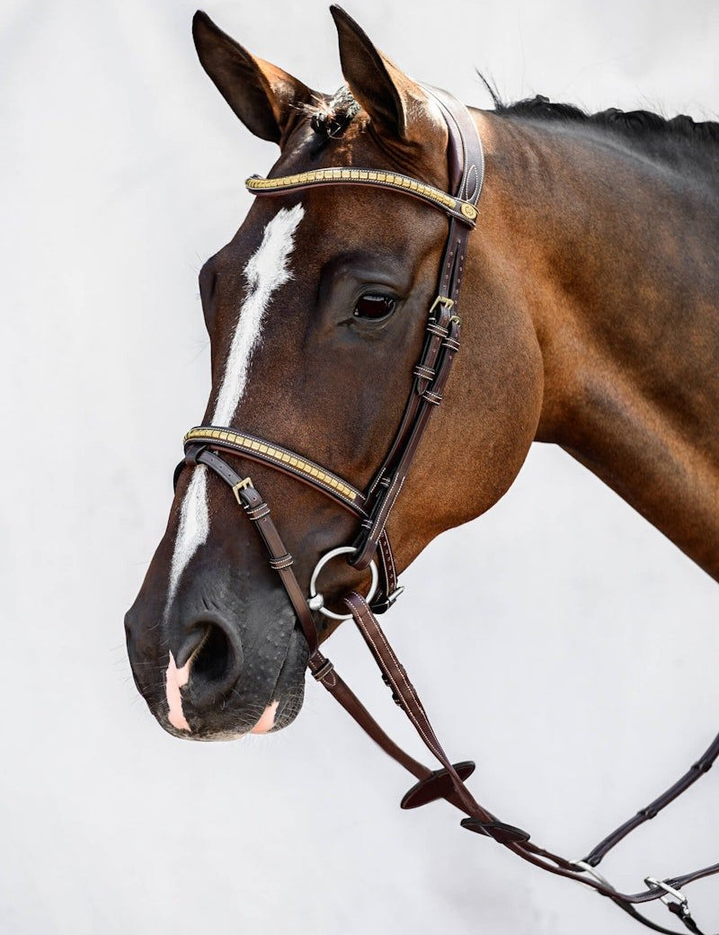 PS of Sweden Bridle Antwerp - PS of Sweden - Equiluxe Tack