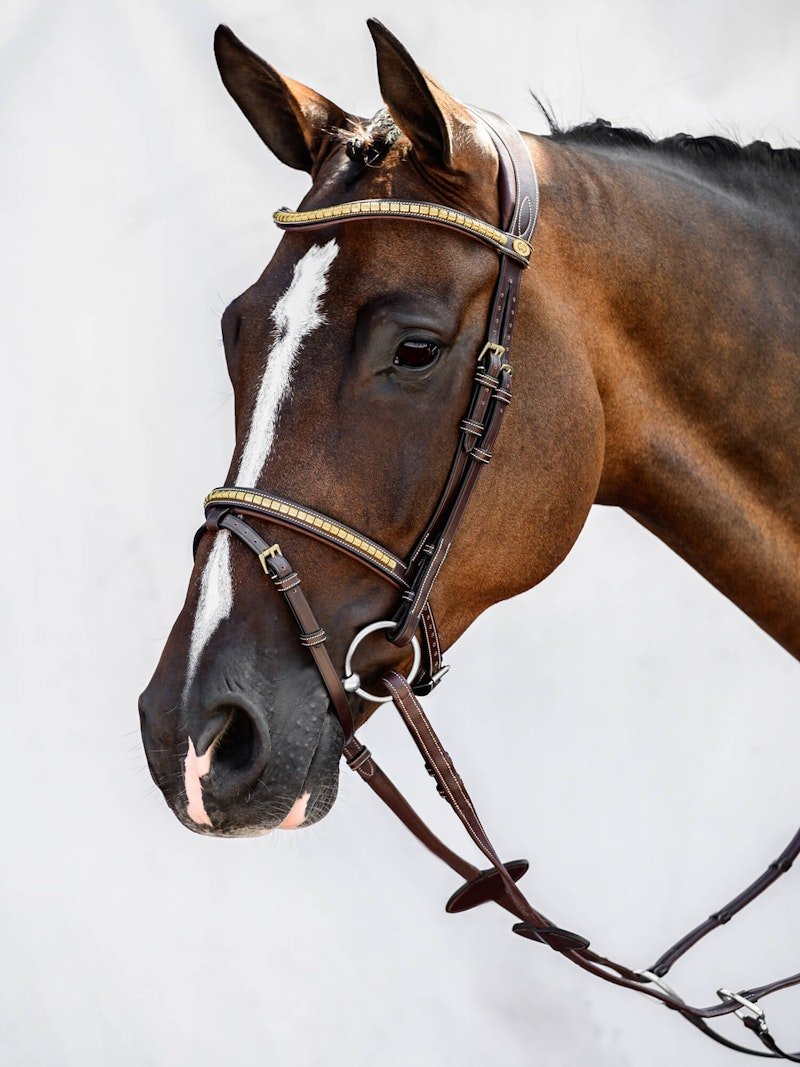 PS of Sweden Bridle Antwerp - PS of Sweden - Equiluxe Tack