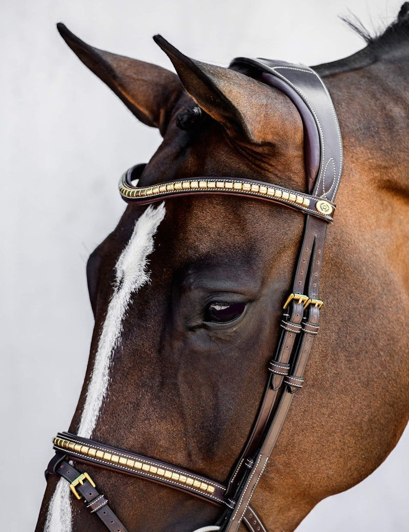 PS of Sweden Bridle Antwerp - PS of Sweden - Equiluxe Tack