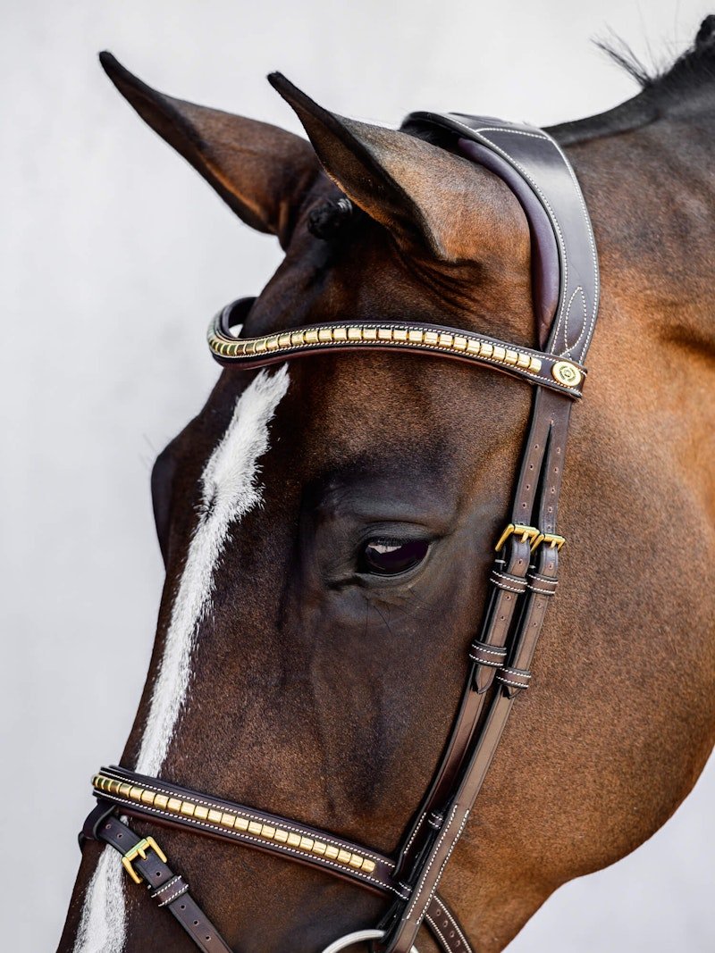 PS of Sweden Bridle Antwerp - PS of Sweden - Equiluxe Tack