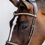 PS of Sweden Bridle Antwerp - PS of Sweden - Equiluxe Tack
