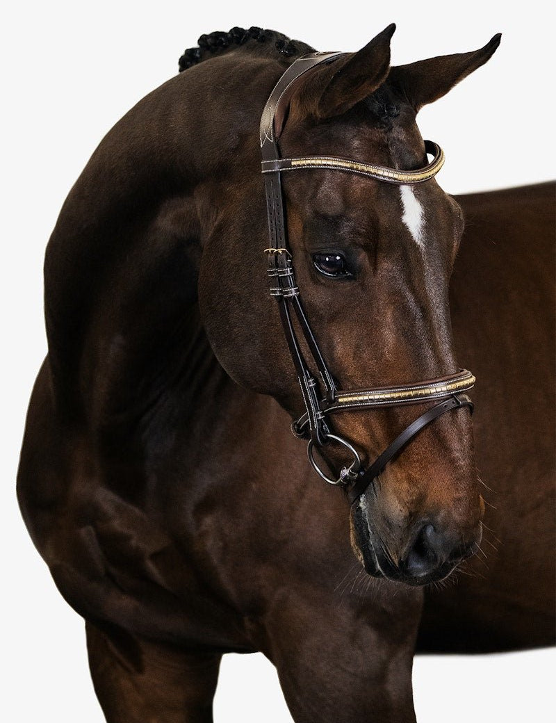 PS of Sweden Bridle Antwerp - PS of Sweden - Equiluxe Tack