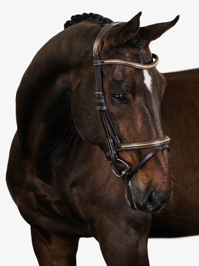 PS of Sweden Bridle Antwerp - PS of Sweden - Equiluxe Tack
