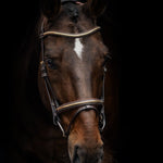 PS of Sweden Bridle Antwerp - PS of Sweden - Equiluxe Tack